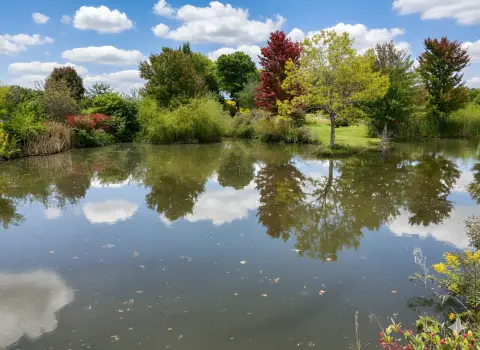 Secluded Prairie Oasis Near Urbana