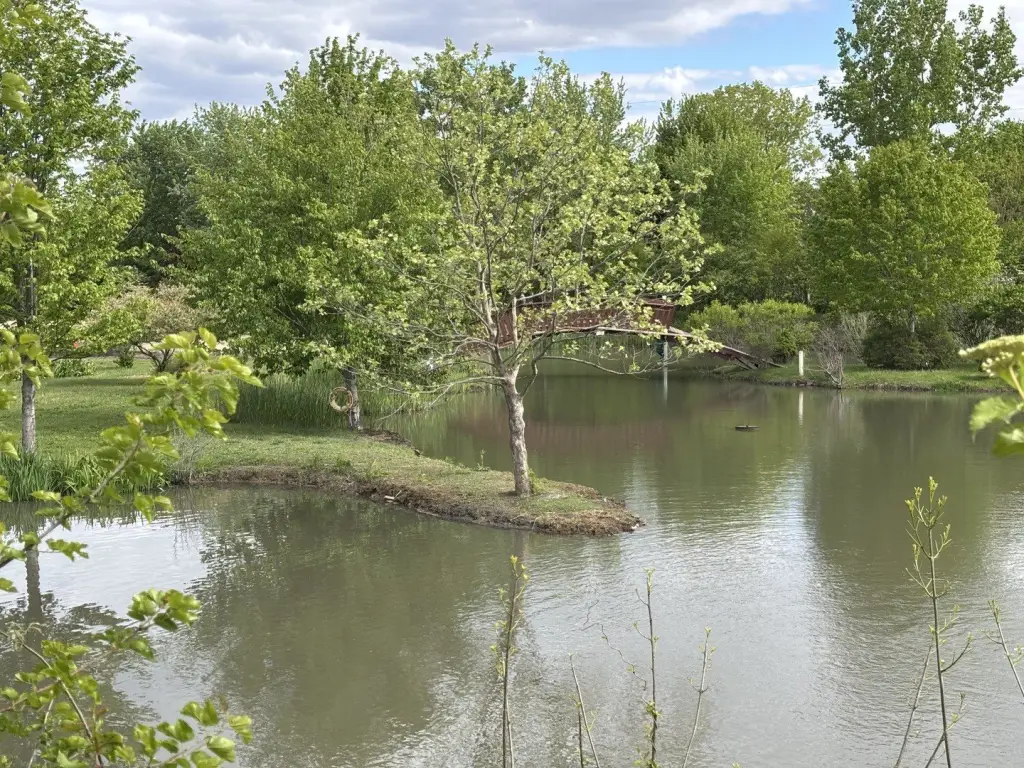 Picture 48
