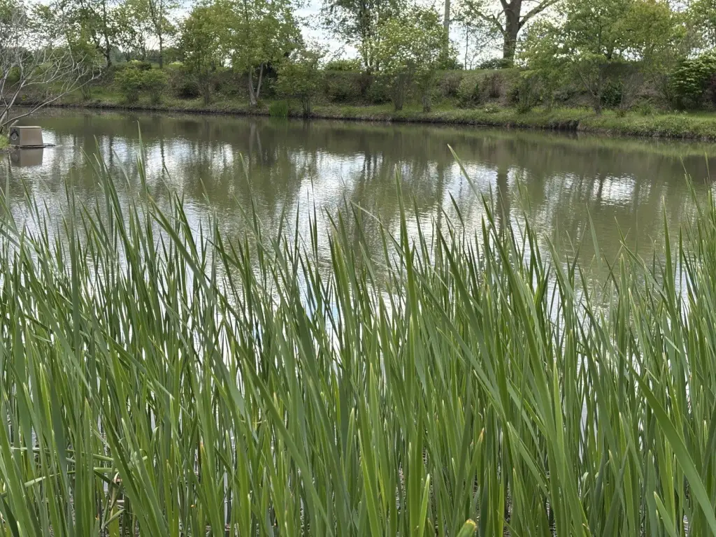 Picture 38