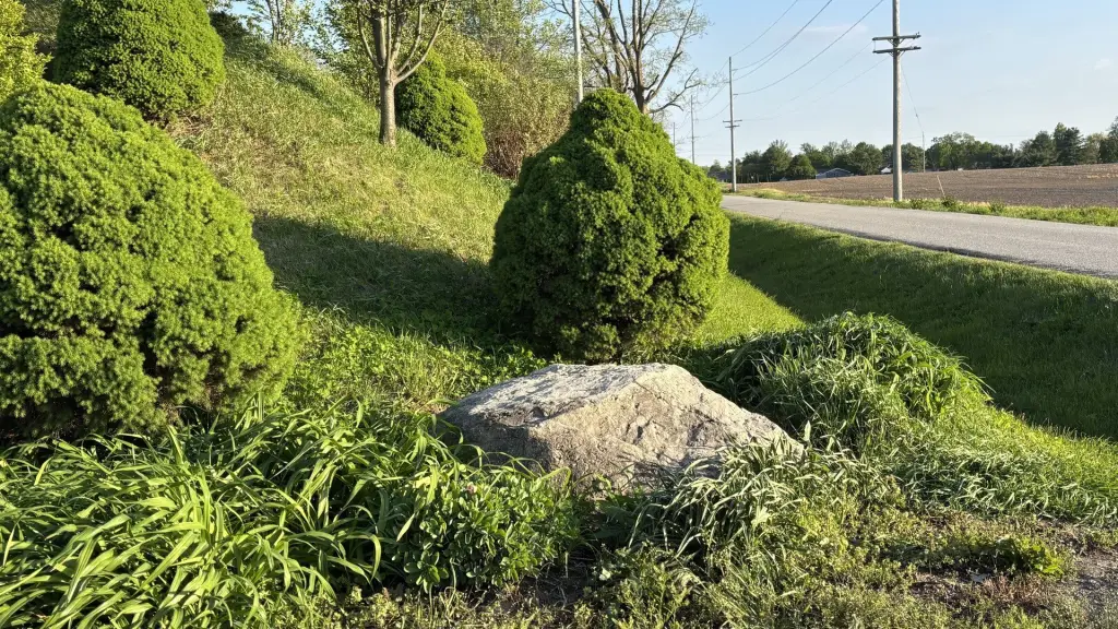 Picture 25