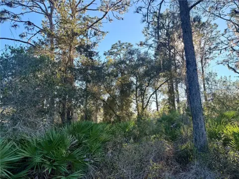 Spacious Lot in Gated Community