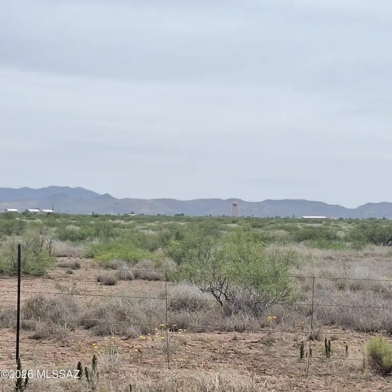 Picture 23