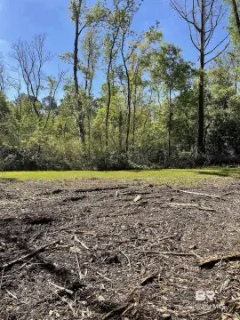 Residential Lot in Robertsdale, AL