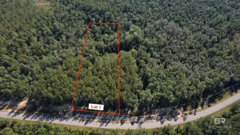 Robertsdale Land with Owner Financing