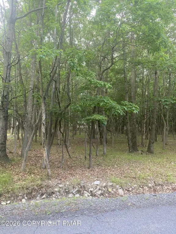 Picture 10