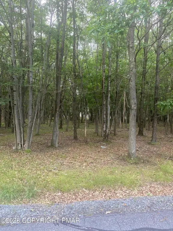 Picture 12