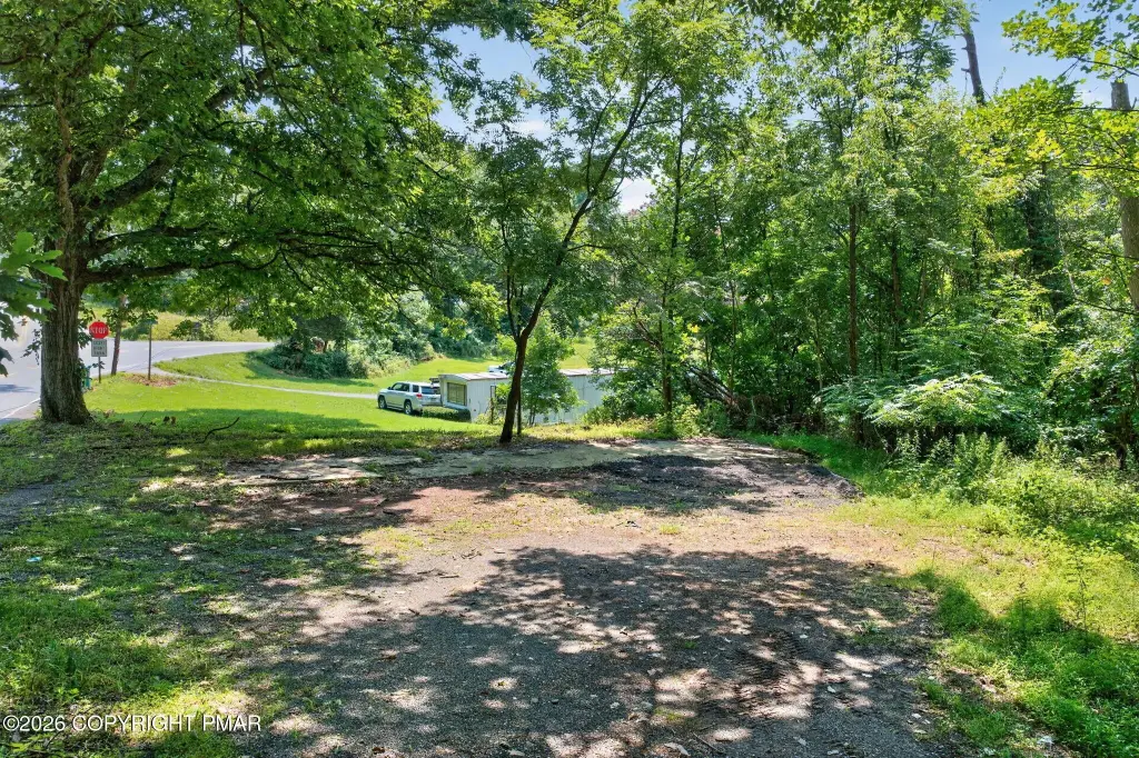 Picture 28