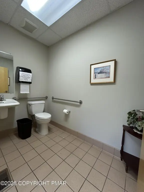 Picture 8