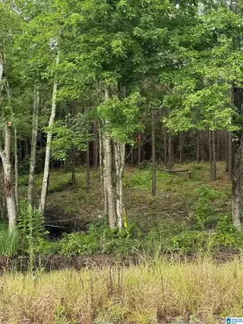 20 Acre Unrestricted Land Parcel