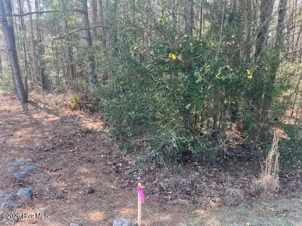 Picture 3