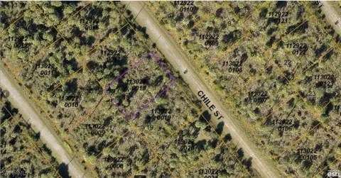 Picture of Land at Chile St 1130220018, North Port, FL