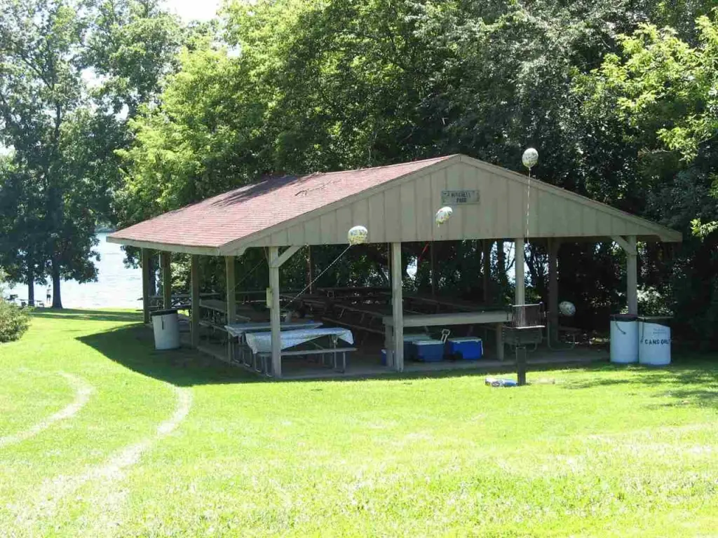 Picture 21