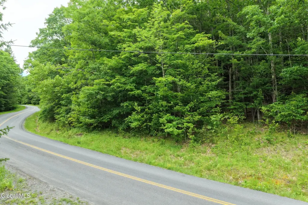 Picture 14