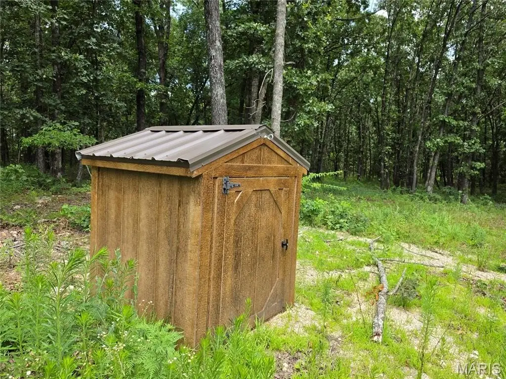 Picture 12