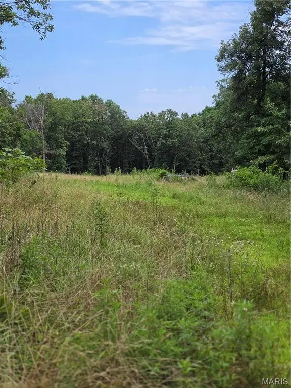 Picture 4