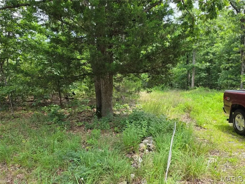 Picture 15