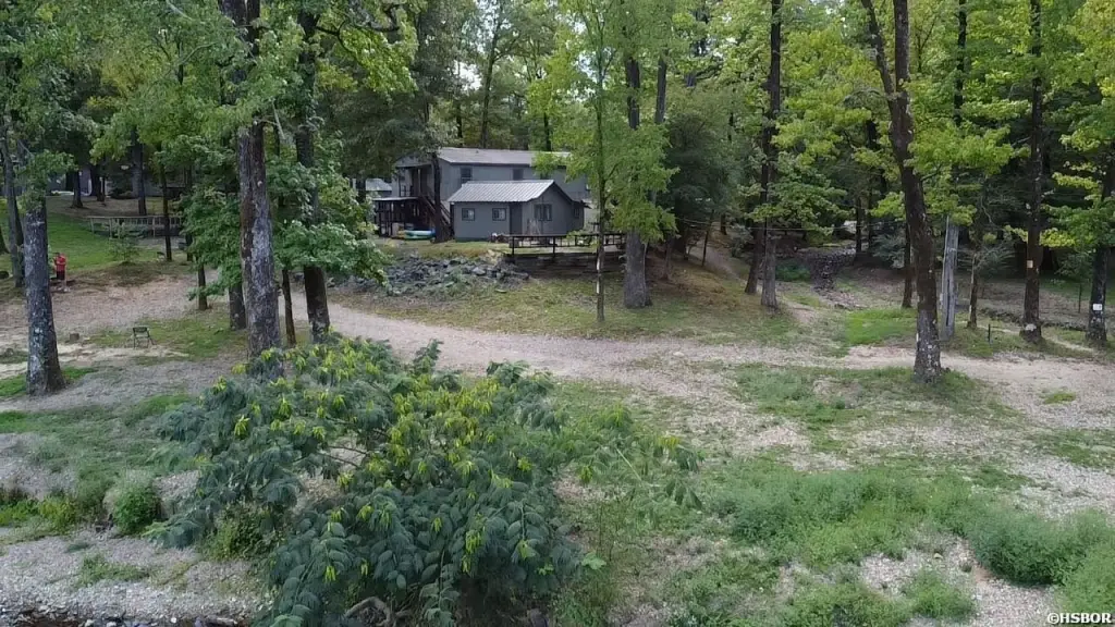 Picture 2