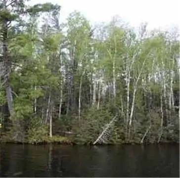 Lake Vermilion Peninsula Lot