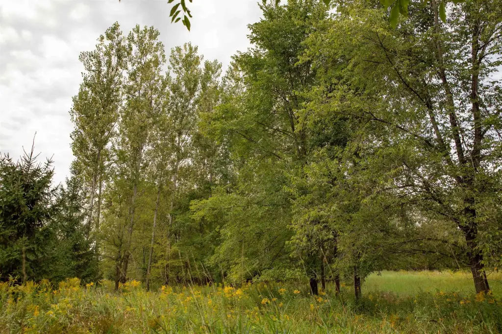 Picture 24