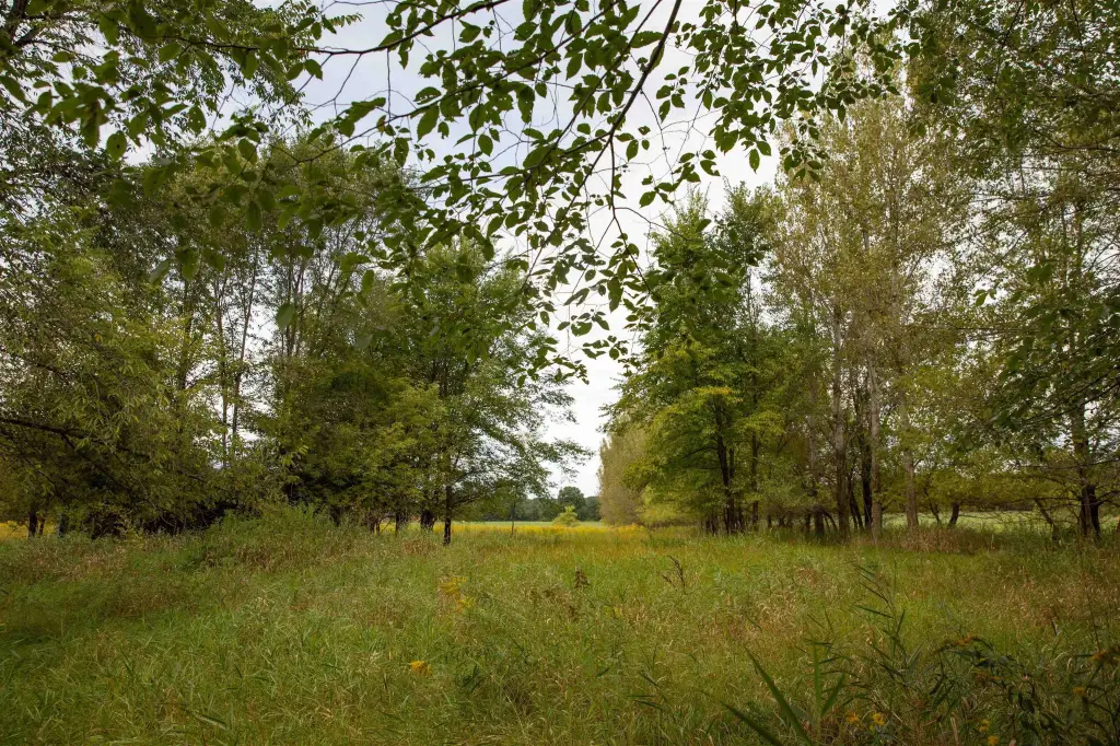 Picture 25