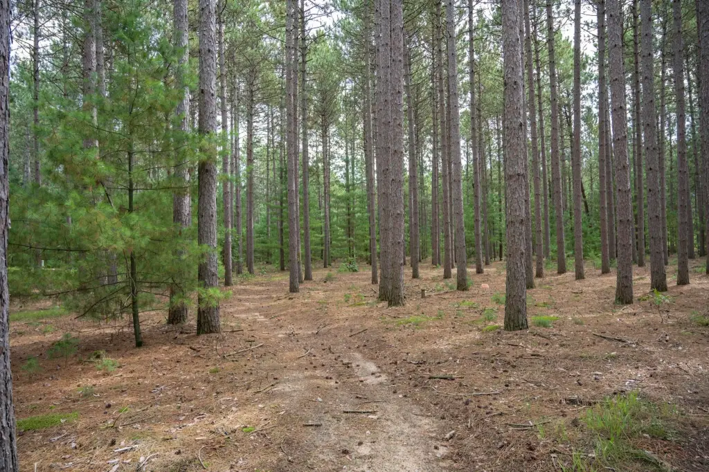 Picture 18