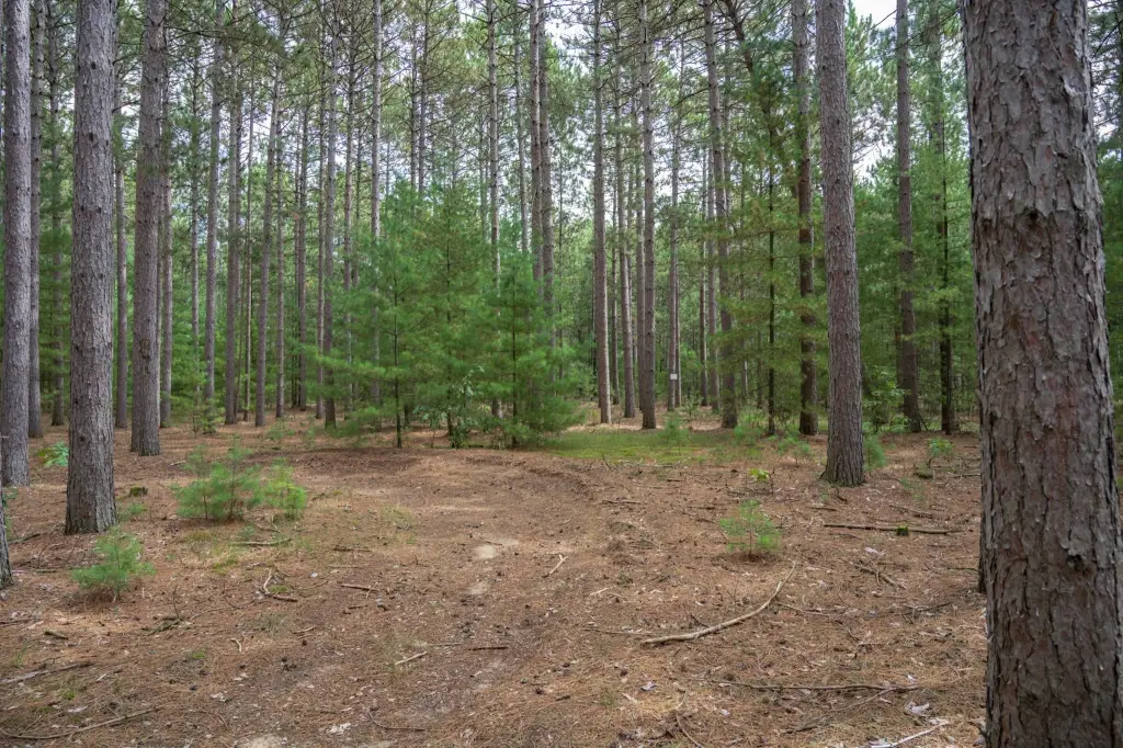 Picture 17