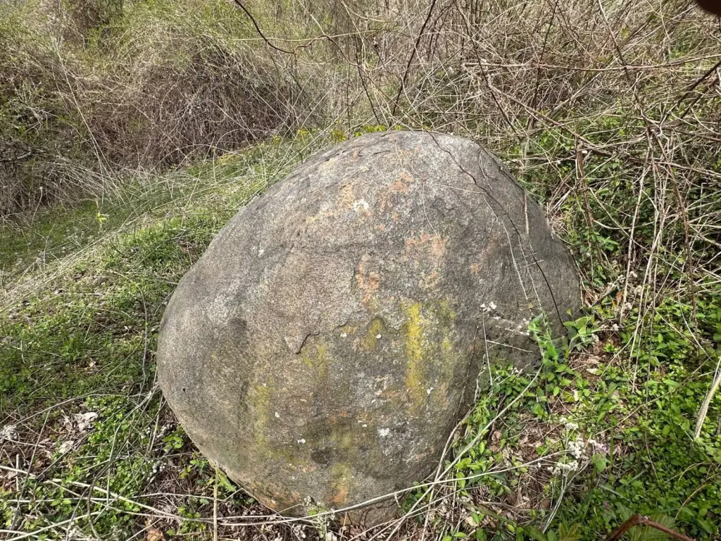 Picture 6