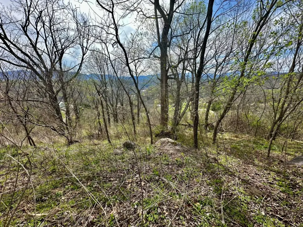 Picture 11