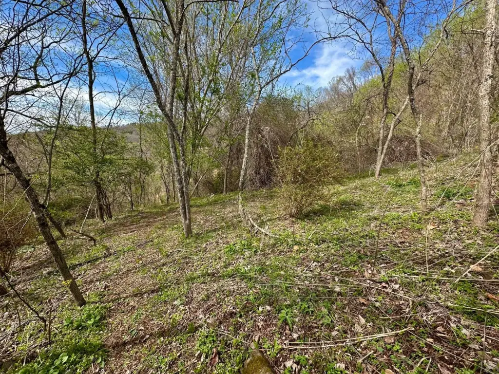 Picture 7