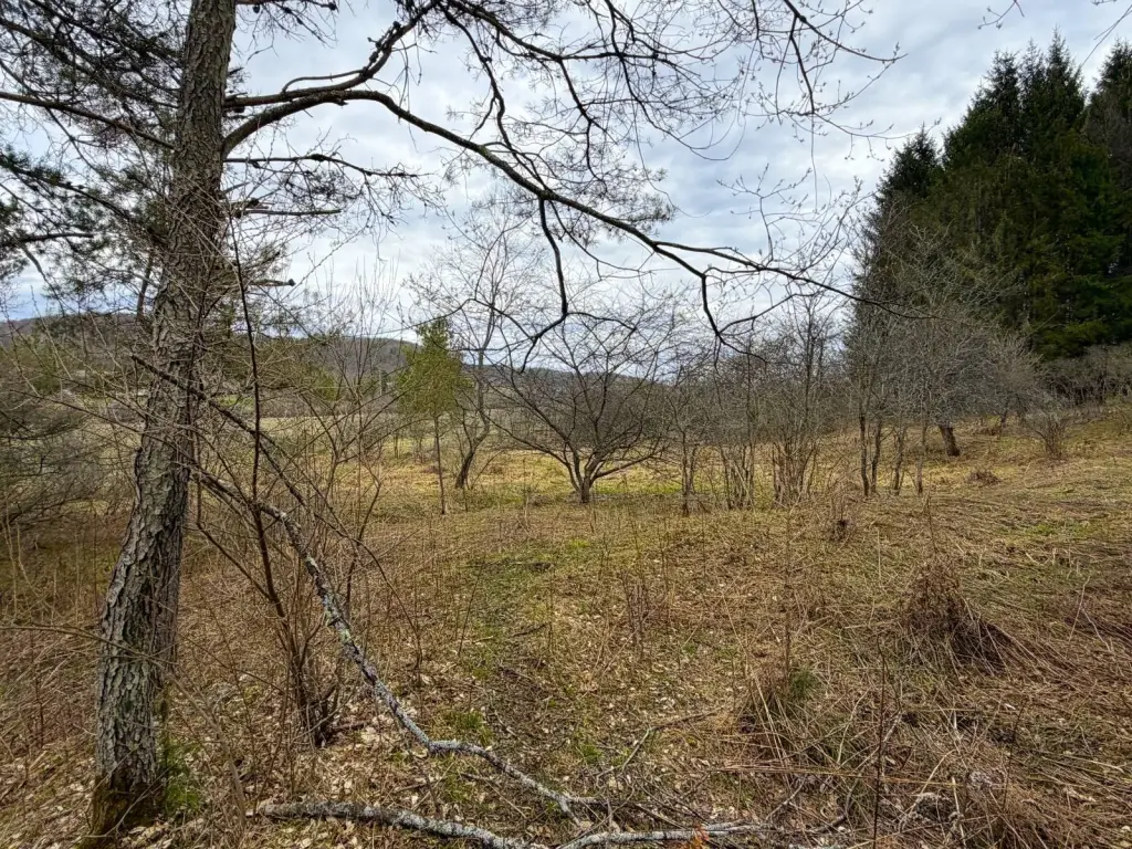 Picture 17