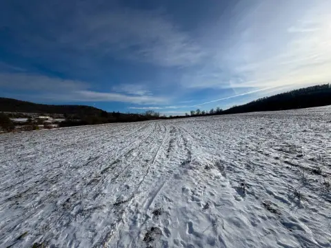 87 Acres of Prime Land