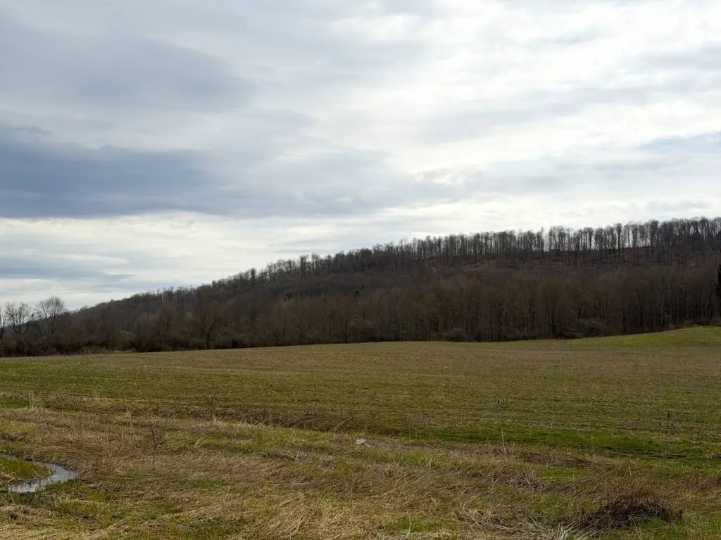 Picture 9