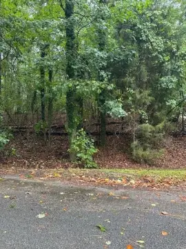 Wooded Lot Near Downtown Jasper