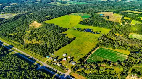 Cattle Farm With Two Homes