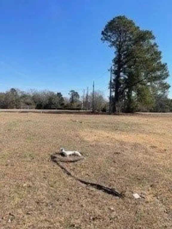 Picture 11