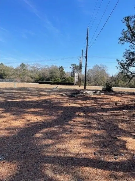 Picture 18