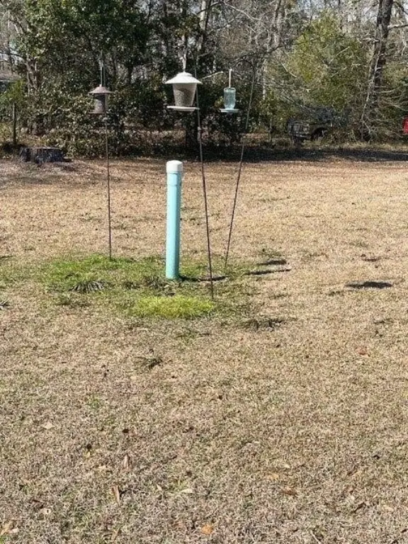 Picture 15