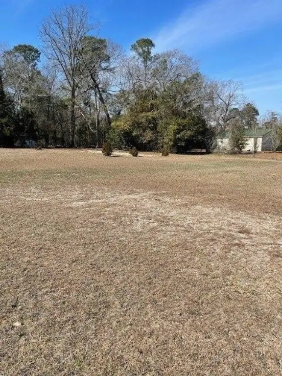 Picture 7