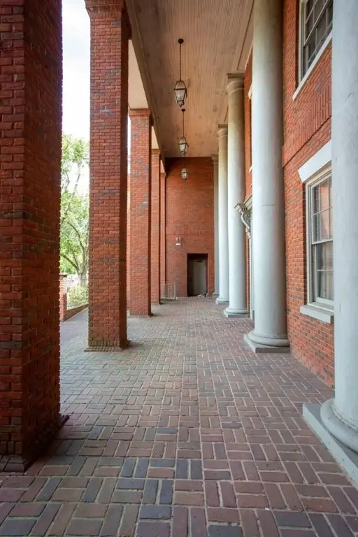 Picture 15