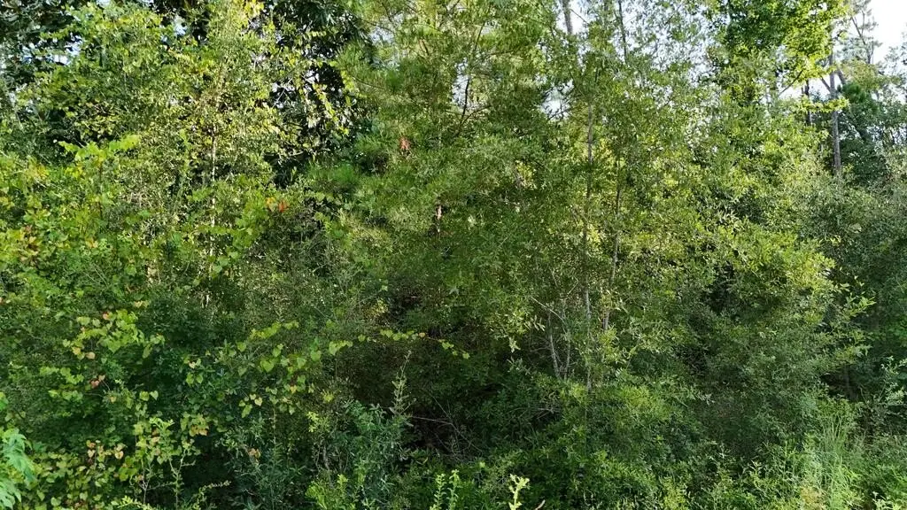 Picture 39