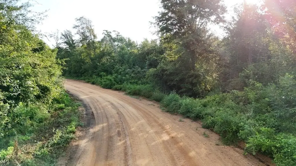 Picture 29