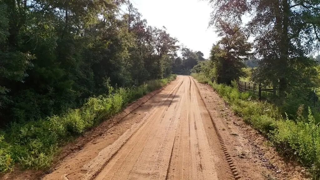 Picture 21