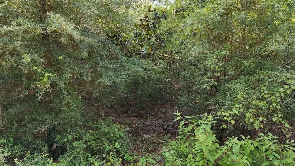 Picture 27