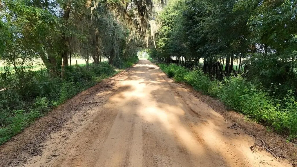 Picture 41