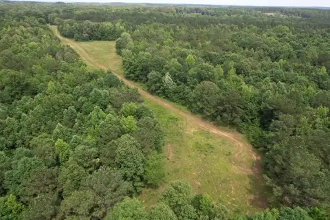 50 Acres in Lafayette Springs
