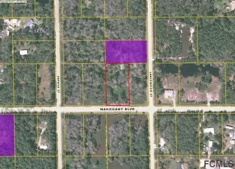 Residential Land in Bunnell, Florida
