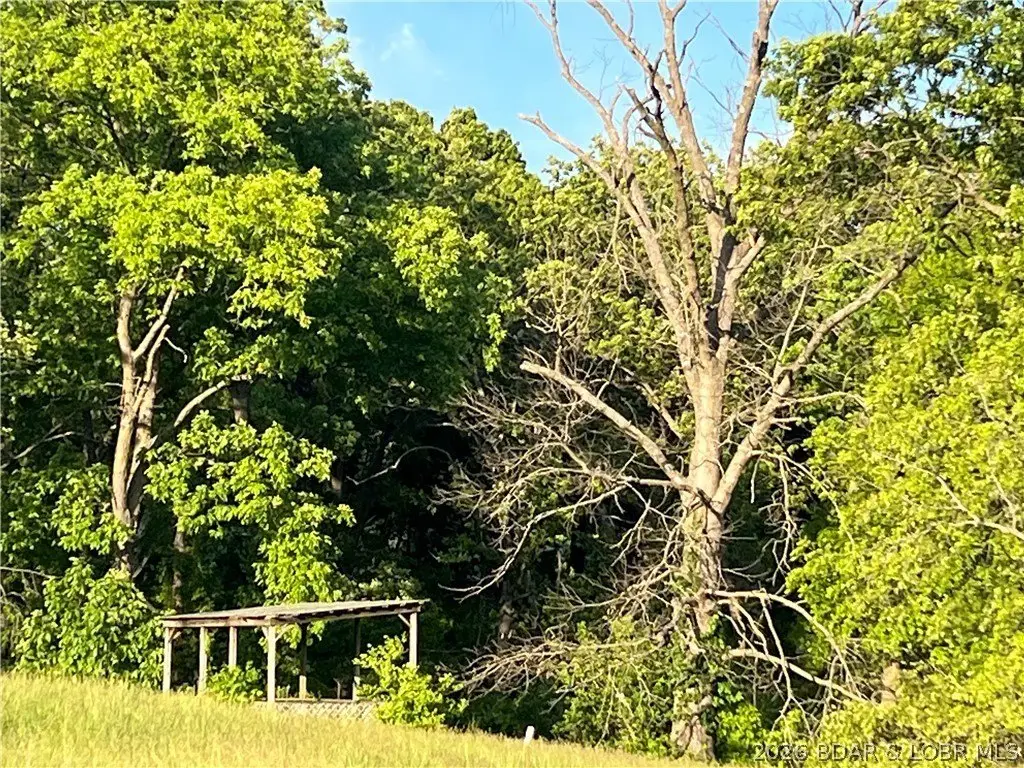 Picture 13