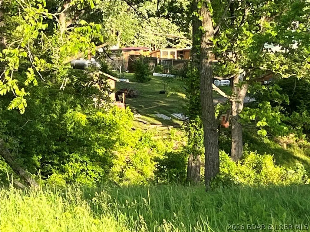 Picture 6