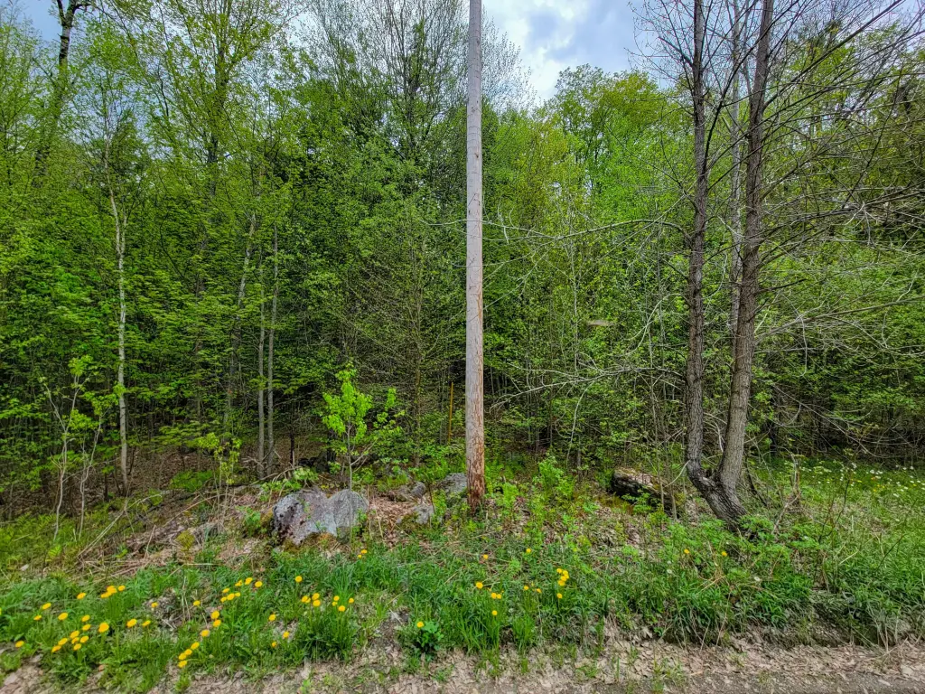 Picture 23