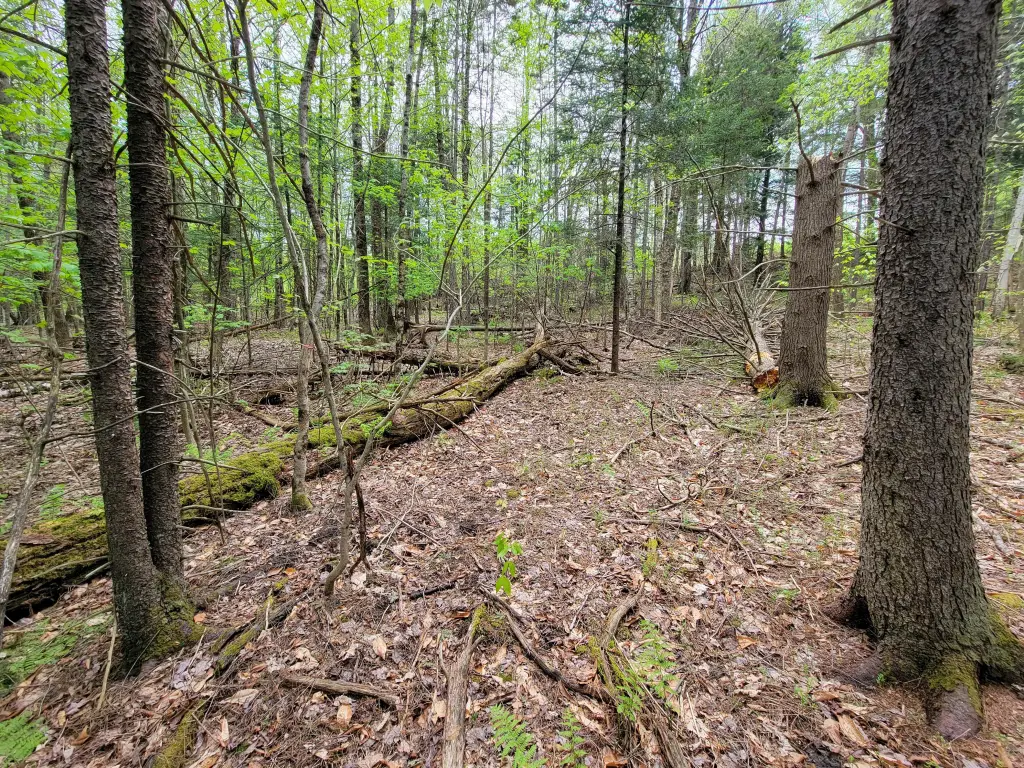Picture 36